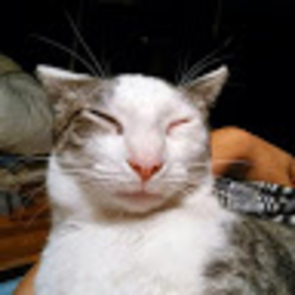 Meet your Posher, Olga